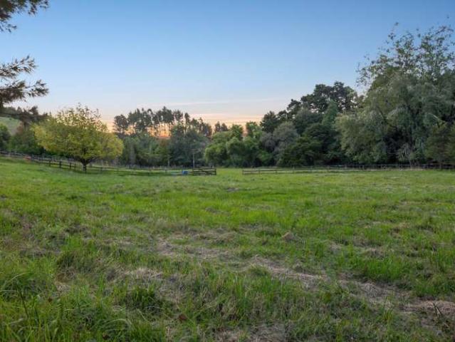 House for sale in Puhoi