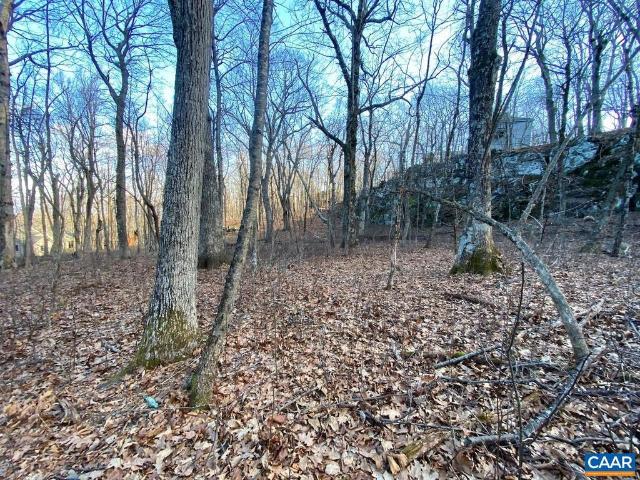 Land for sale in Wintergreen, Nelson County