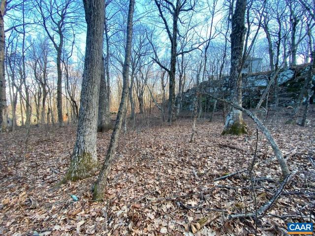 Land for sale in Virginia