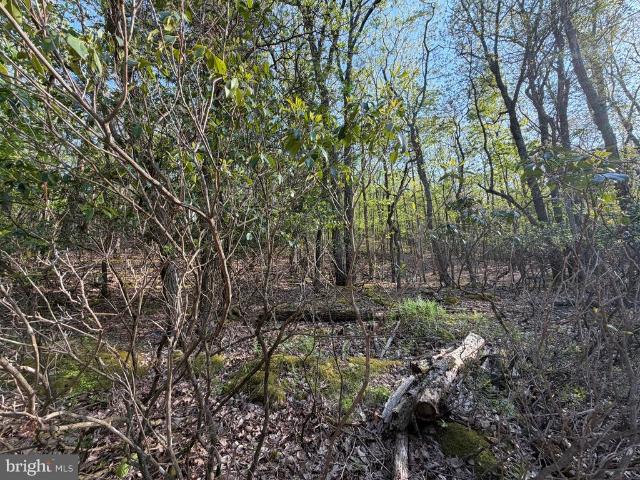 Land for sale in Zion Grove, Pennsylvania