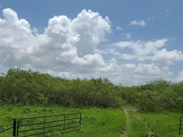 Farm for sale in Kingsville, Texas