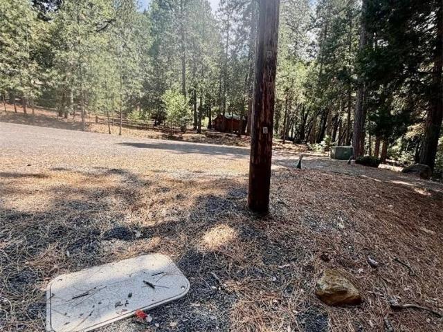 Land for sale in Butte, California