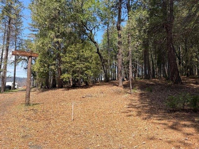 Land for sale in Butte, California