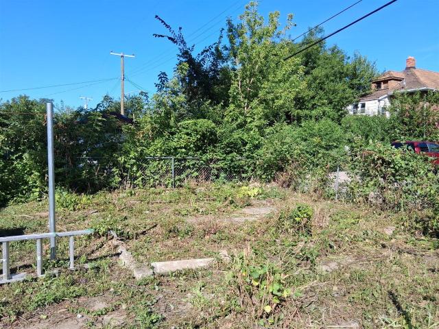 House for sale in Detroit, Wayne County