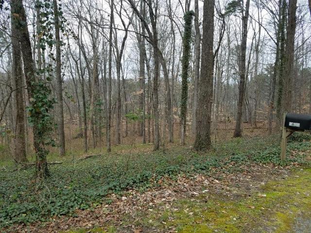 Land for sale in Cobb, Georgia