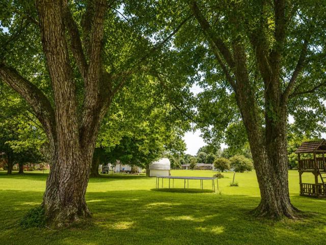 House for sale in Lexington, Alabama