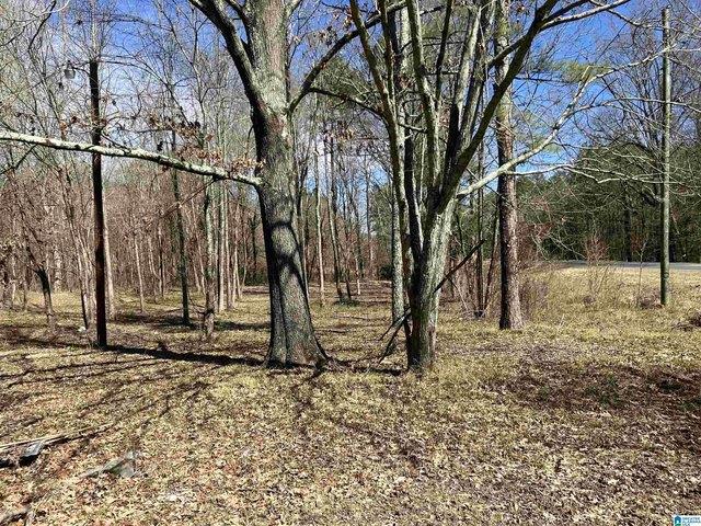 Land for sale in Steele, Alabama