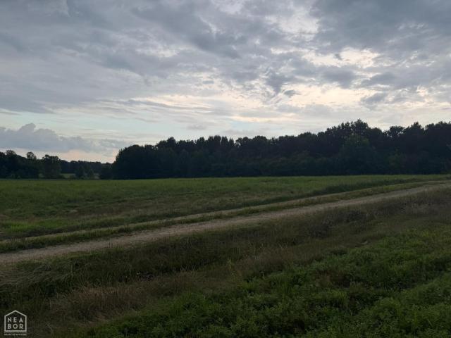 House for sale in Piggott, Clay County