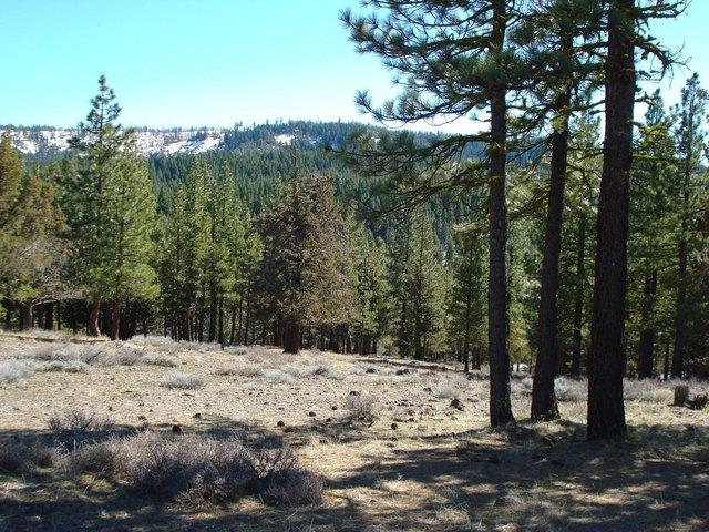 Land for sale in Portola, California