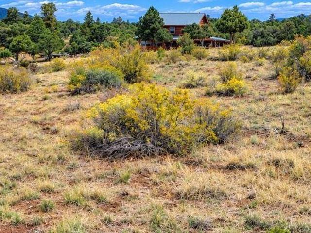 Land for sale in South Fork, Rio Grande County