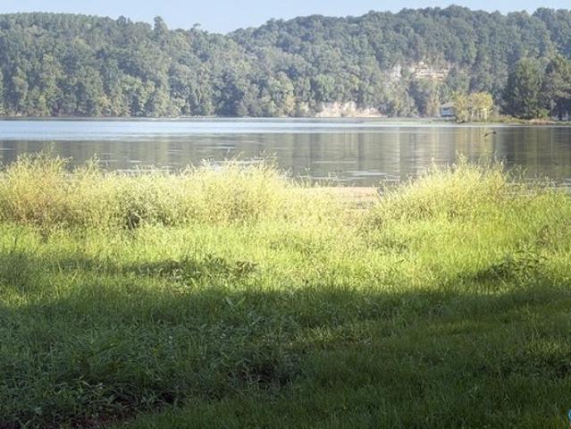 Land for sale in Athens, Limestone County