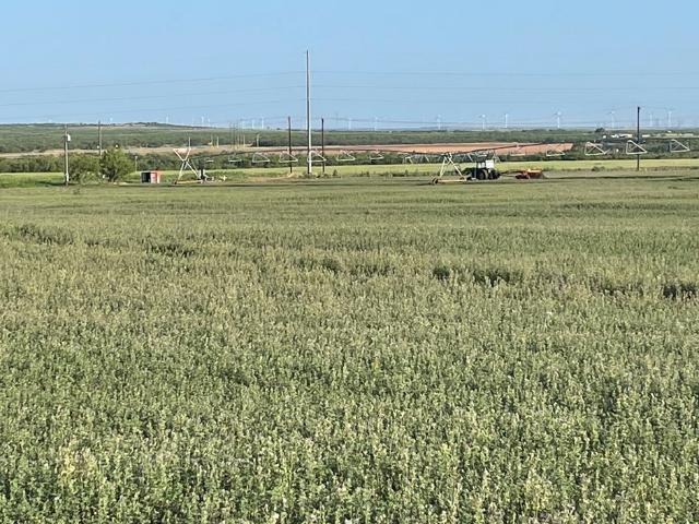 Land for sale in Snyder