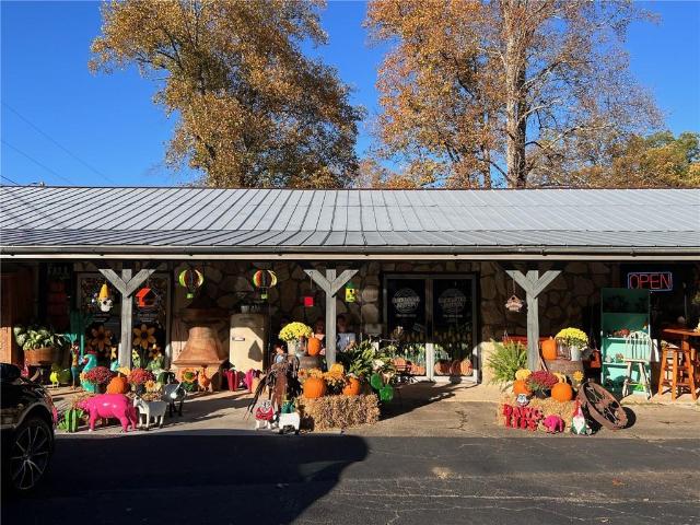 Commercial for sale in Pickens, Georgia