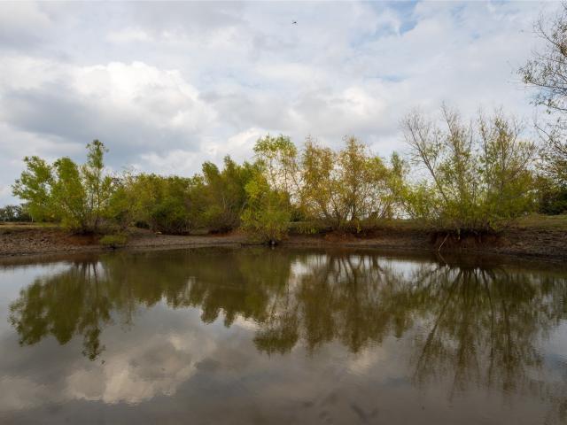 Land for sale in Burton, Texas