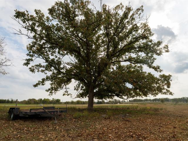 Land for sale in Burton, Texas