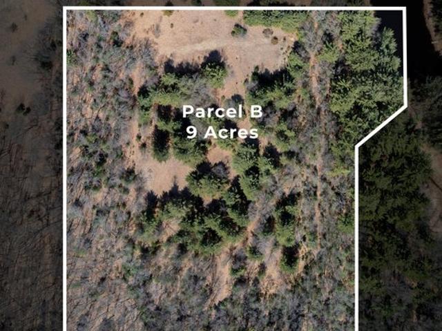 Land for sale in White Cloud, Michigan