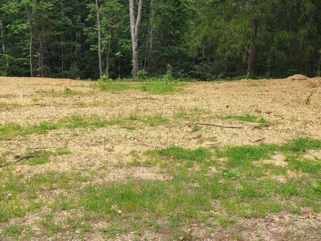 Land for sale in Hamilton, Alabama