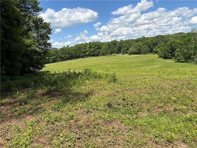 Land for sale in Norwich, New York