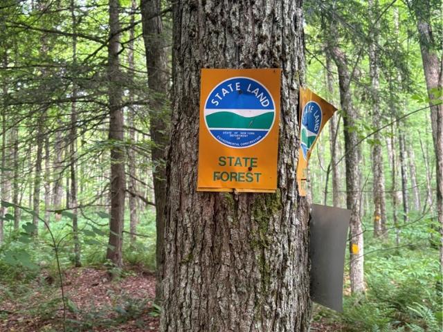 Land for sale in Plymouth, New York