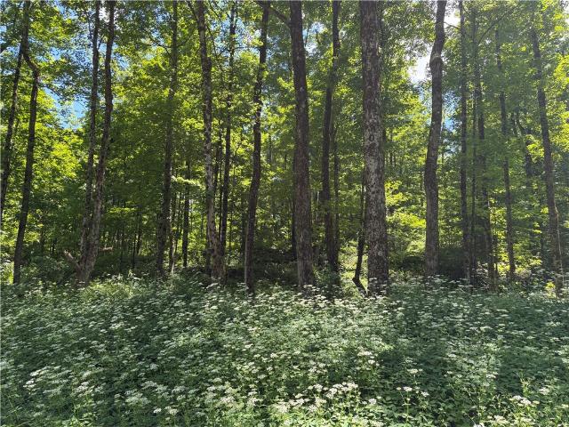 Land for sale in Plymouth, New York