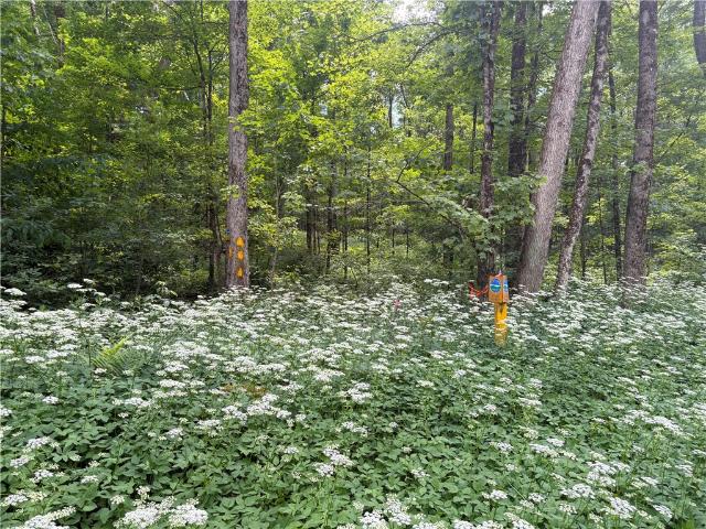 Land for sale in Plymouth, New York