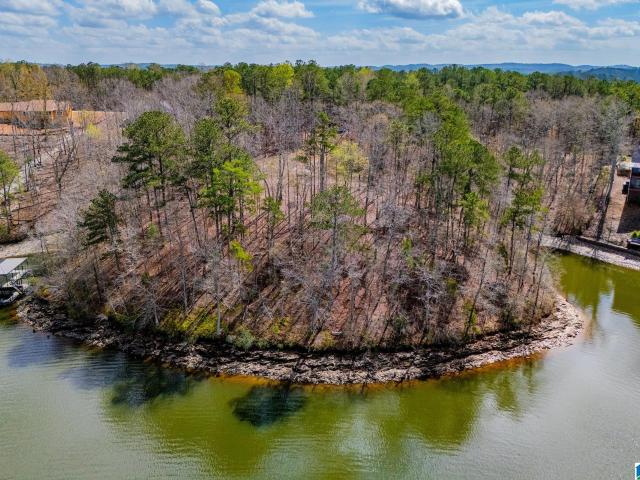 Land for sale in Wedowee, Alabama