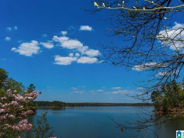 Land for sale in Wedowee, Alabama