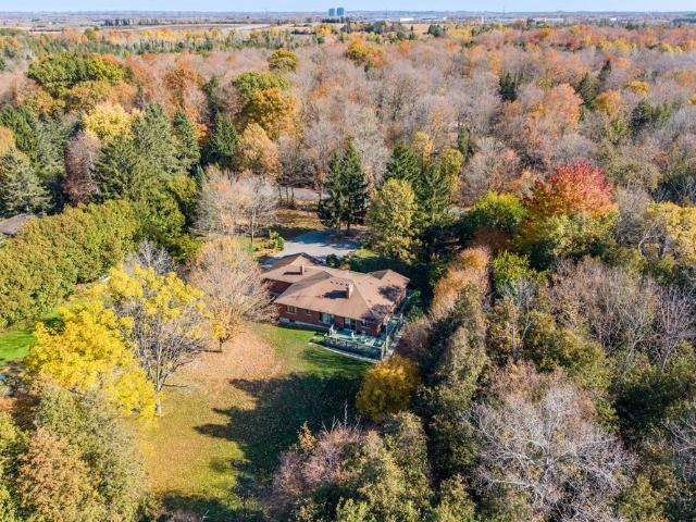 House for rent in Whitby, Golden Horseshoe