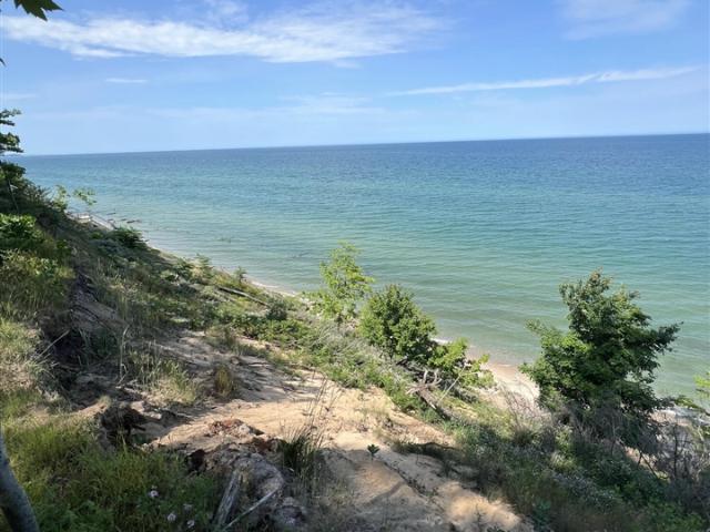 Land for sale in Michigan