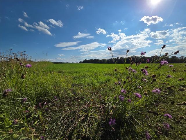 House for sale in Weston, Town of Tyrone