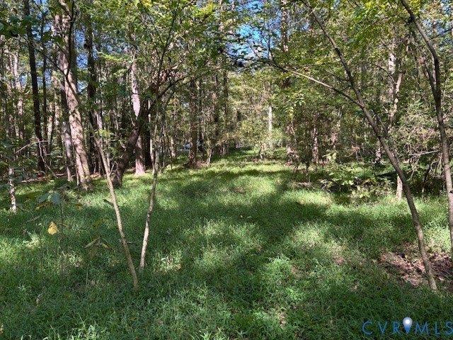 Land for sale in Virginia