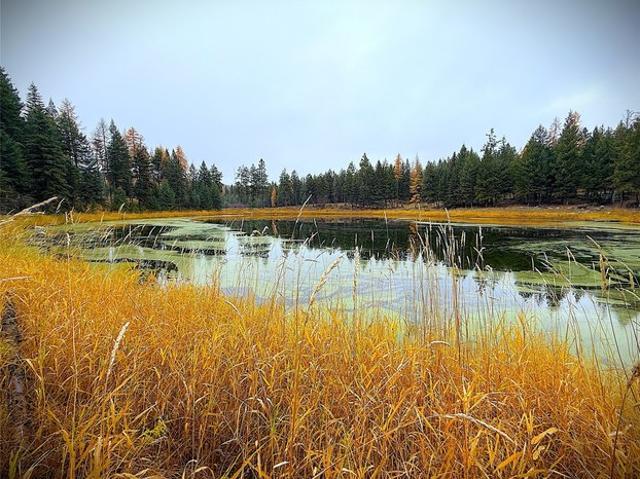 Land for sale in Rexford, Montana