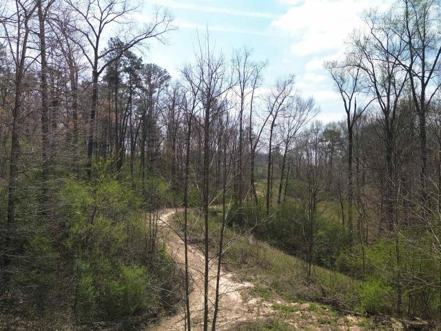 Land for sale in Cullman, Alabama