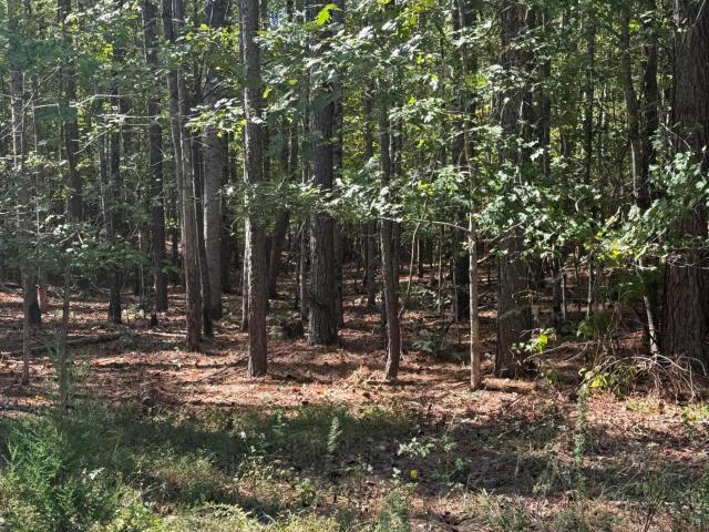 Land for sale in Saint Andrews, Sewanee