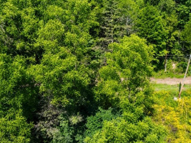 Land for sale in Tennessee