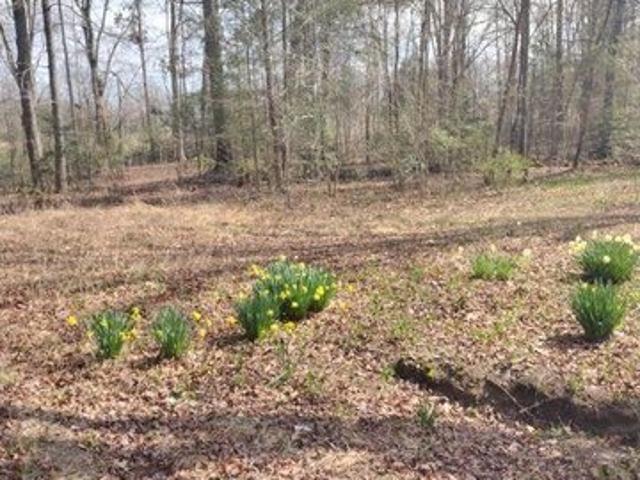 Land for sale in Tennessee