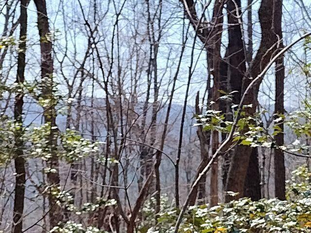 Land for sale in Tennessee