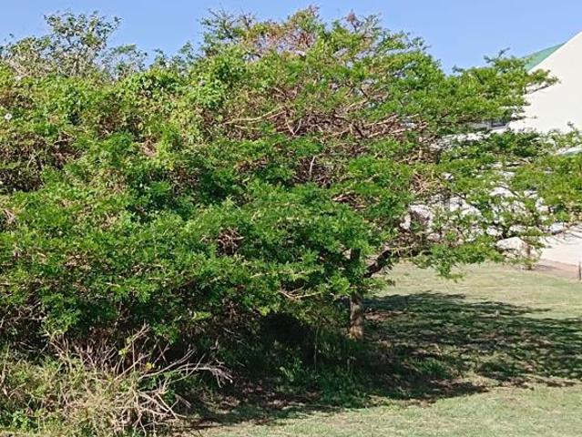 Land for sale in Bisho, Eastern Cape