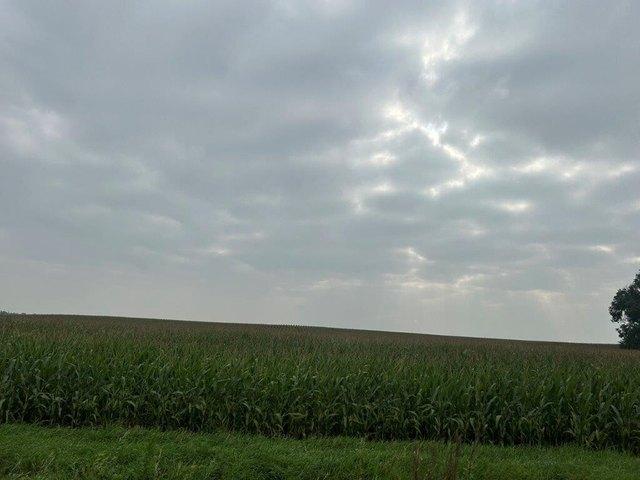 Land for sale in Fairfax, Minnesota