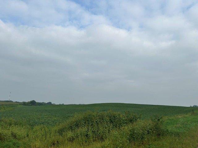 Land for sale in Fairfax, Minnesota