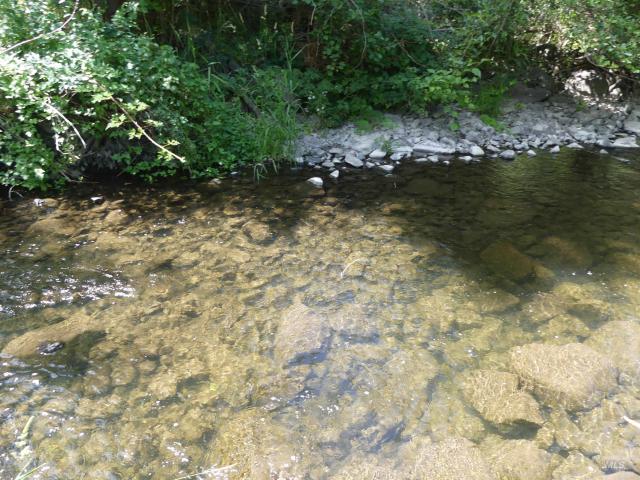 Land for sale in Orofino, Idaho