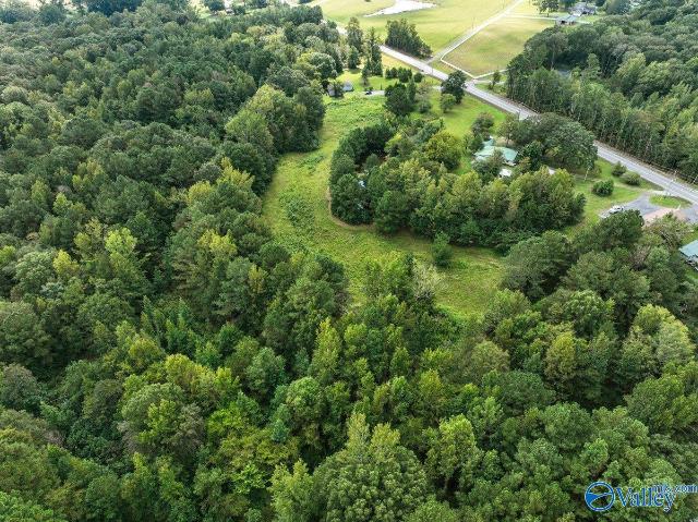 Land for sale in Somerville, Alabama