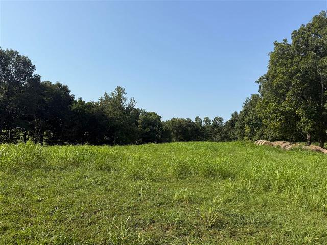 Land for sale in Adolphus, Kentucky