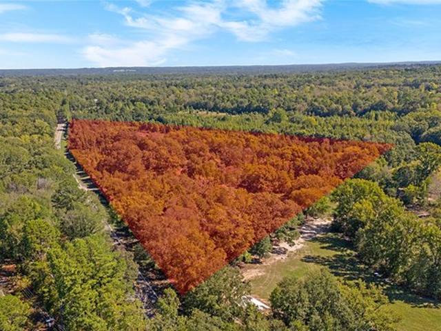 Land for sale in Mineola, Wood County