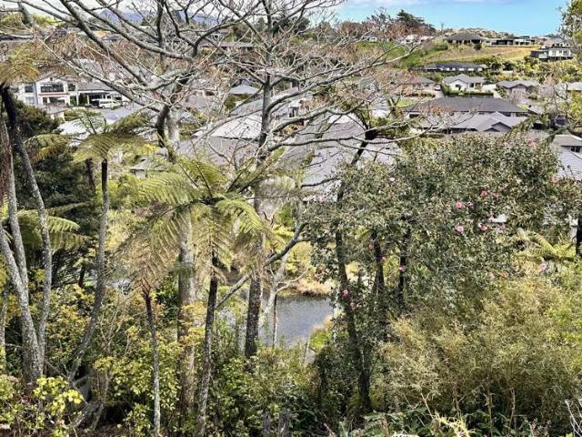 Land for sale in Taranaki