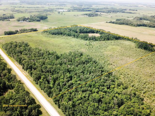 Land for sale in Gonvick, Minnesota