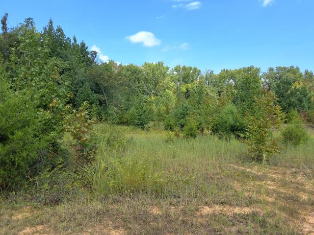 Land for sale in Mount Juliet, Middle Tennessee