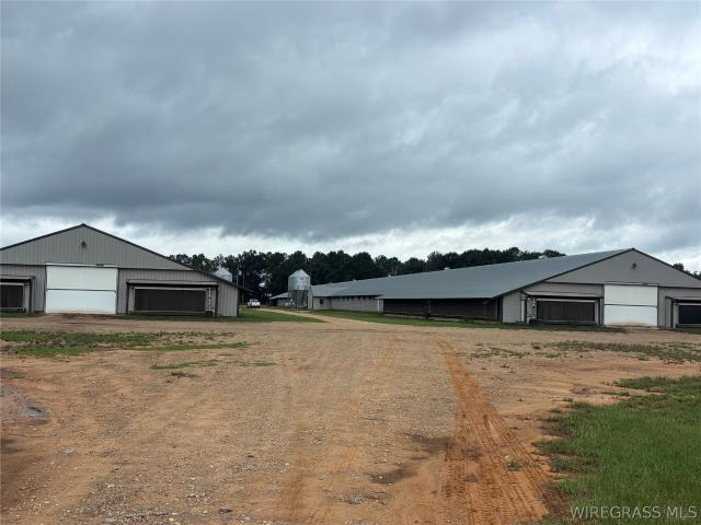 Farm for sale in Ariton, Dale County