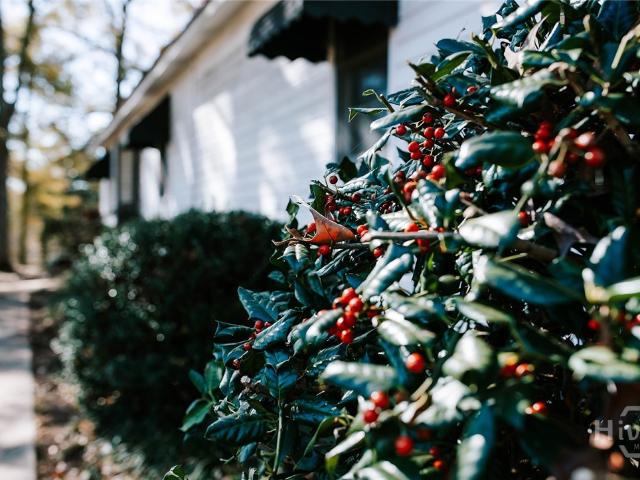 House for sale in Carlton, Georgia