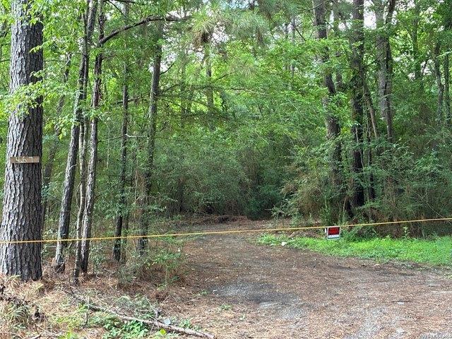 Land for sale in Diboll, Texas